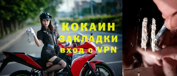 молекула духа Богородицк