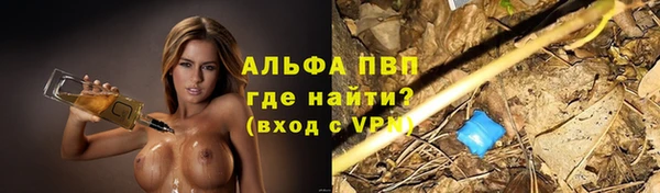 молекула духа Богородицк