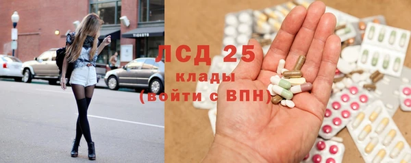 молекула духа Богородицк