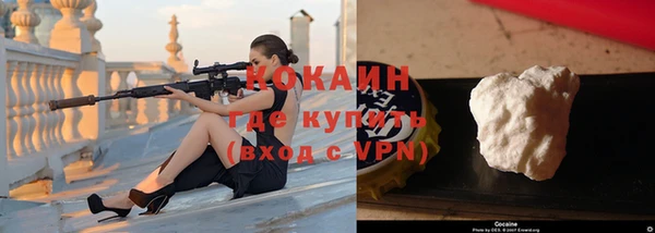 молекула духа Богородицк