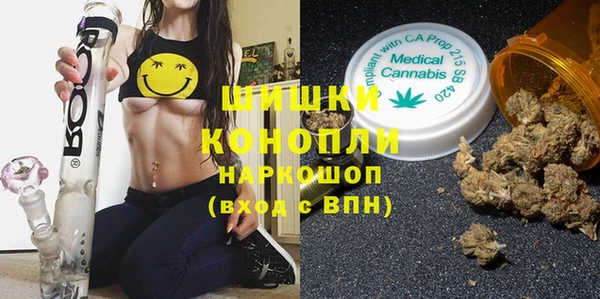 молекула духа Богородицк
