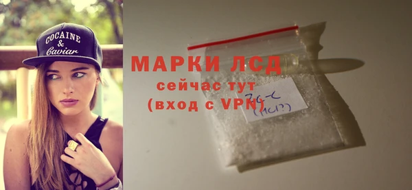 молекула духа Богородицк