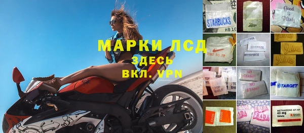 молекула духа Богородицк