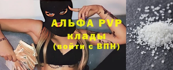 молекула духа Богородицк