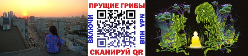 закладка  Павловск  Галлюциногенные грибы MAGIC MUSHROOMS 