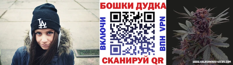 МАРИХУАНА план  купить  цена  Павловск 